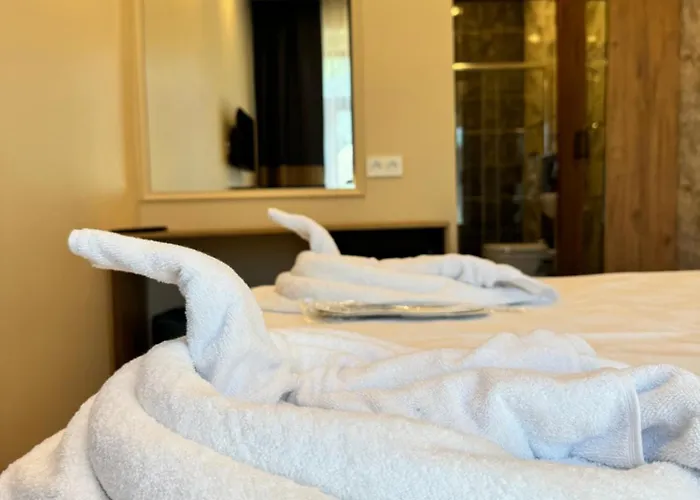 فندق Riverside 3*