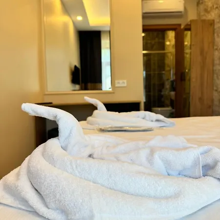 فندق Riverside 3*